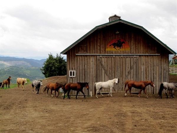 Bull Hill Guest Ranch Marble Exterior photo
