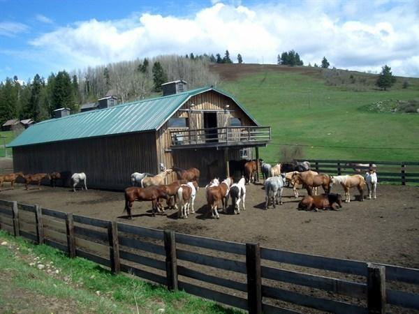 Bull Hill Guest Ranch Marble Exterior photo